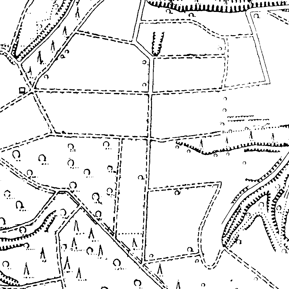 l1